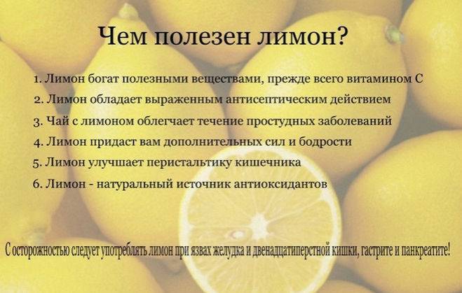 Лечение лимоном в домашних условиях. лимон, лечение лимоном. лимон отлично подщелачивает тело
