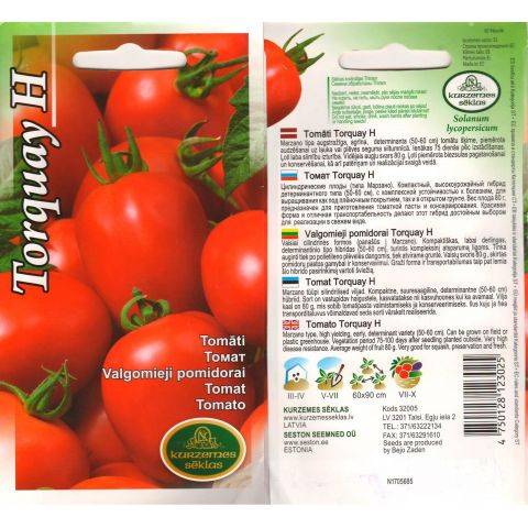 Описание гибридного сорта томата Торквей и рекомендации по выращиванию растения