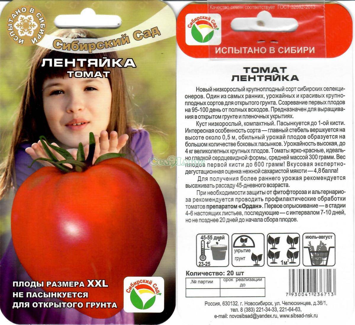 Описание сорта томата Лентяйка, особенности выращивания и ухода