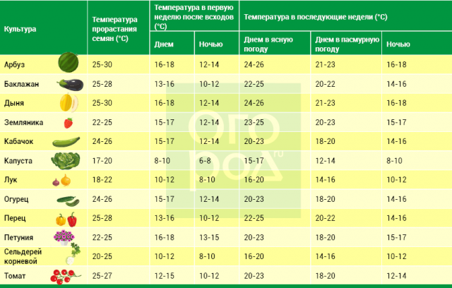 Схема подкормки арбузов в открытом грунте