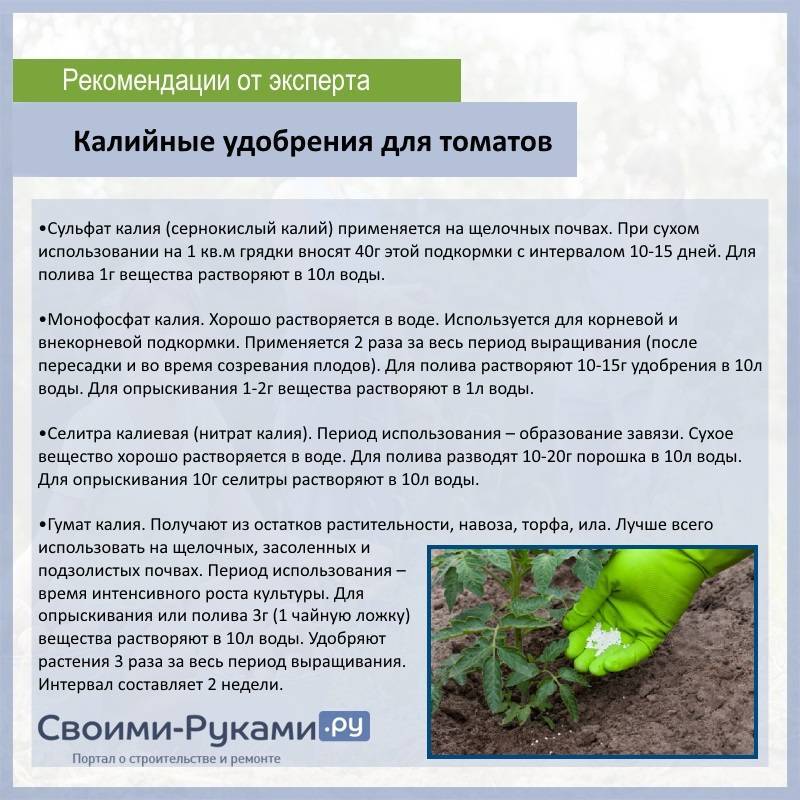 Подкормка капусты: виды удобрений и схема подкормок