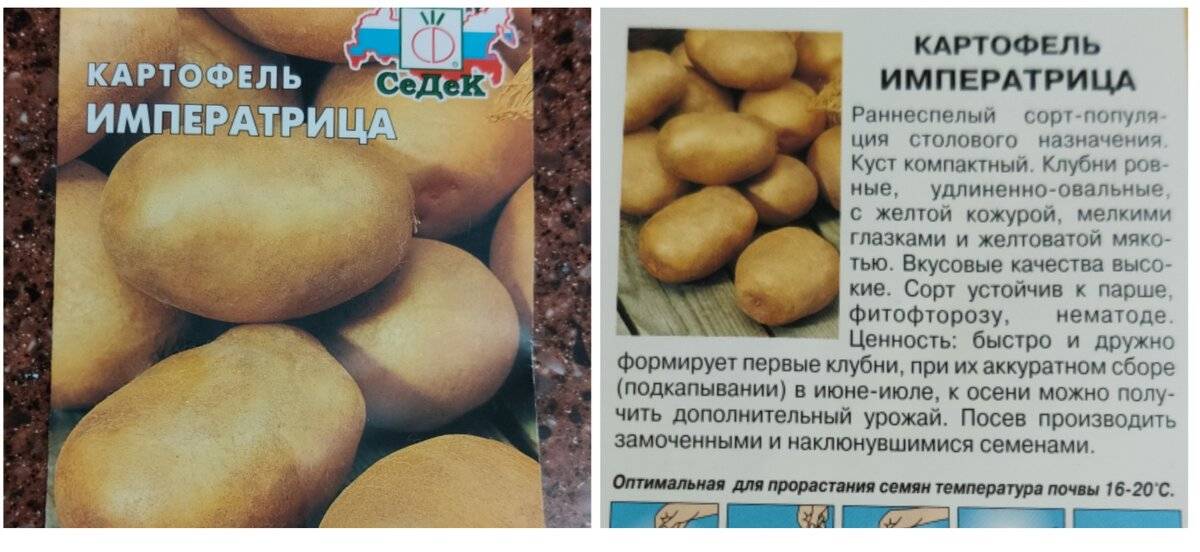 Особенности сорта картофеля «тулеевский»: описание, качества, выращивание и уход: характеристики, свойства, методы