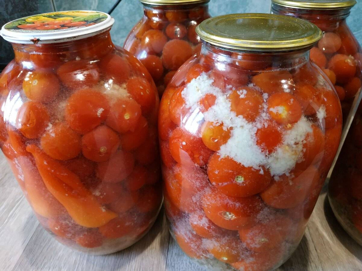 Маринованные помидоры на зиму – 5 самых вкусных рецептов