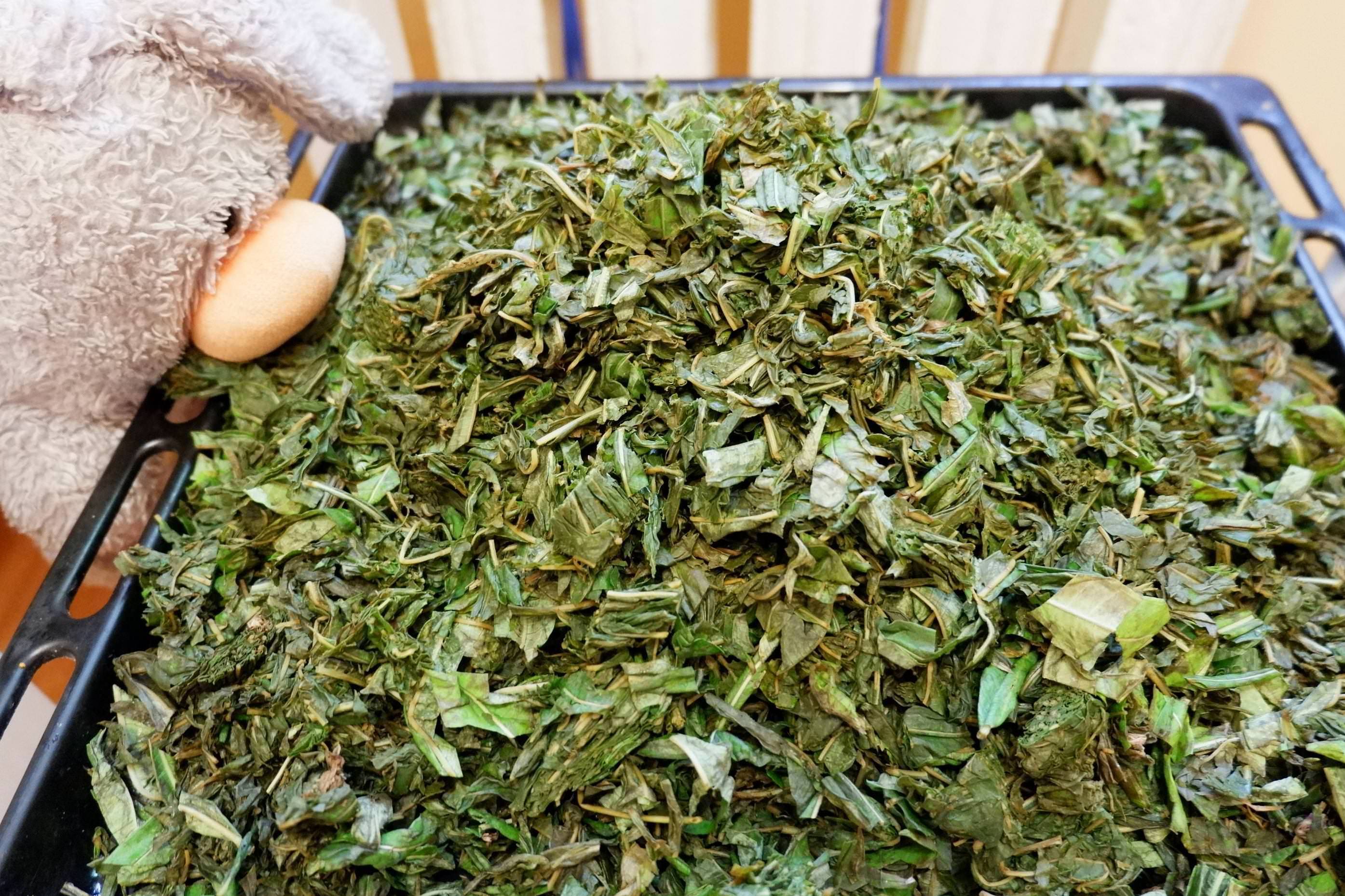 Листья малины - чай на зиму с пользой для здоровья