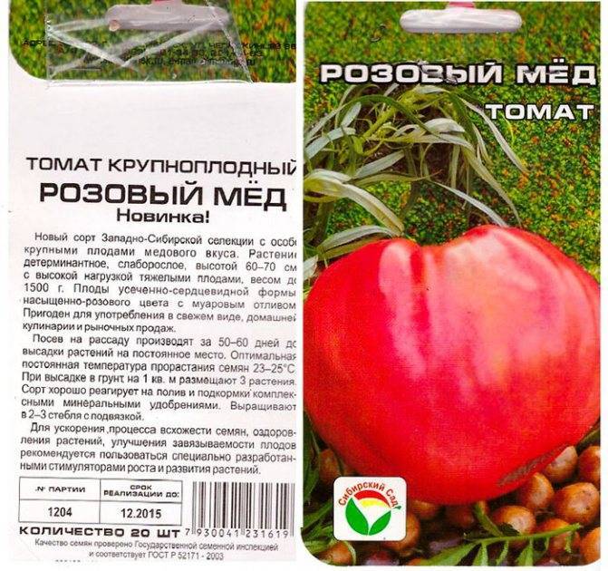 Сорт томата бизнес леди и размножение растения рассадным способом