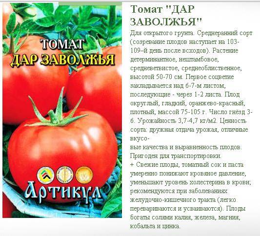 Описание сорта томата аделина и его характеристика