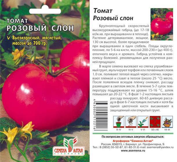 Сорт томата «розовый гигант» - характеристики и описание, отзывы, фото помидоров