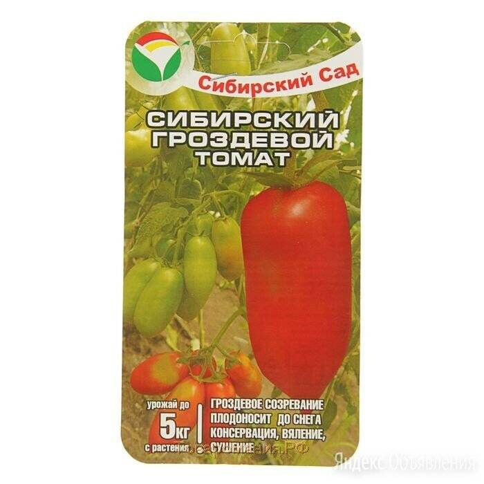 Томат "гроздевой f1": характеристика и описание сорта помидор с фото, отзывы о сибирском и черном сорте