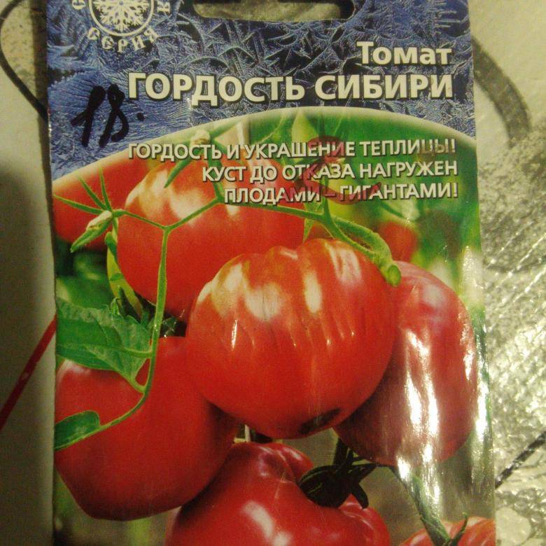 Томат гордость сибири: характеристика и описание сорта, отзывы об урожайности помидоров, видео и фото семян
