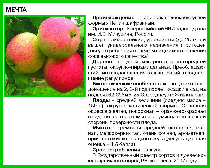 О яблоне мечта: описание и характеристики сорта, посадка и уход, выращивание