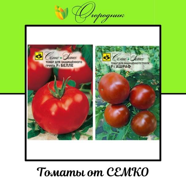 ᐉ томат пинк пионер f1 отзывы - zooshop-76.ru