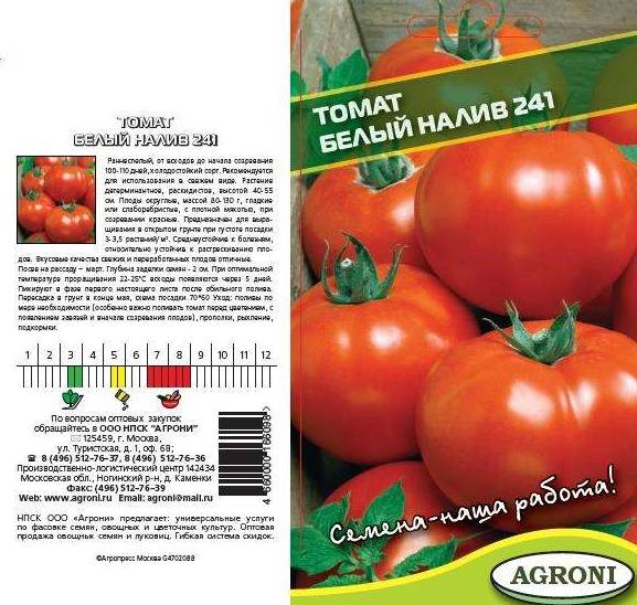 Описание сорта томатов белый налив с фото: характеристики помидоров и секреты выращивания