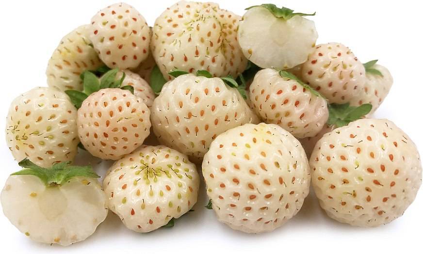 Ягода-альбинос. существует ли белая земляника с ароматом ананаса?