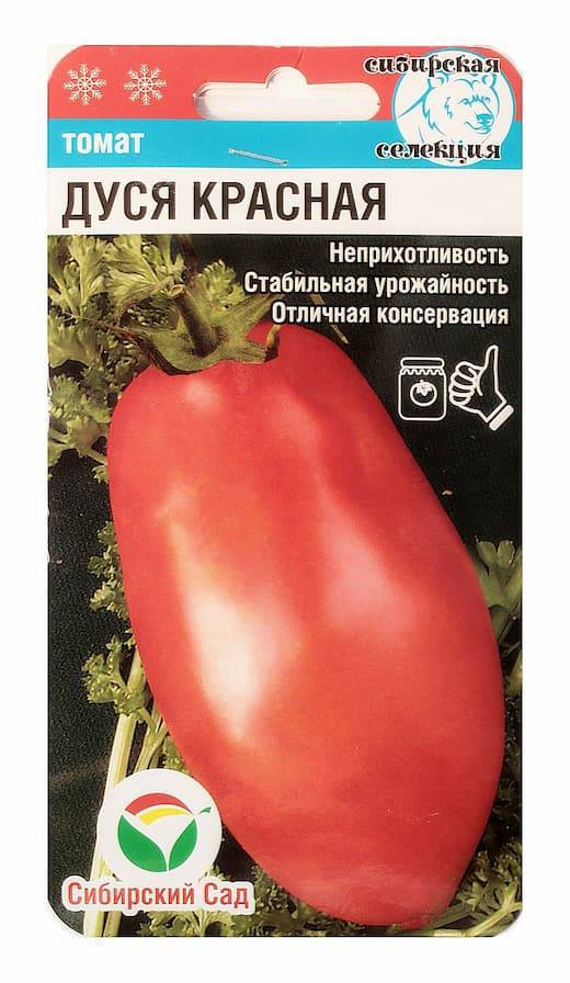 Описание томата Дуся красная и правила выращивания
