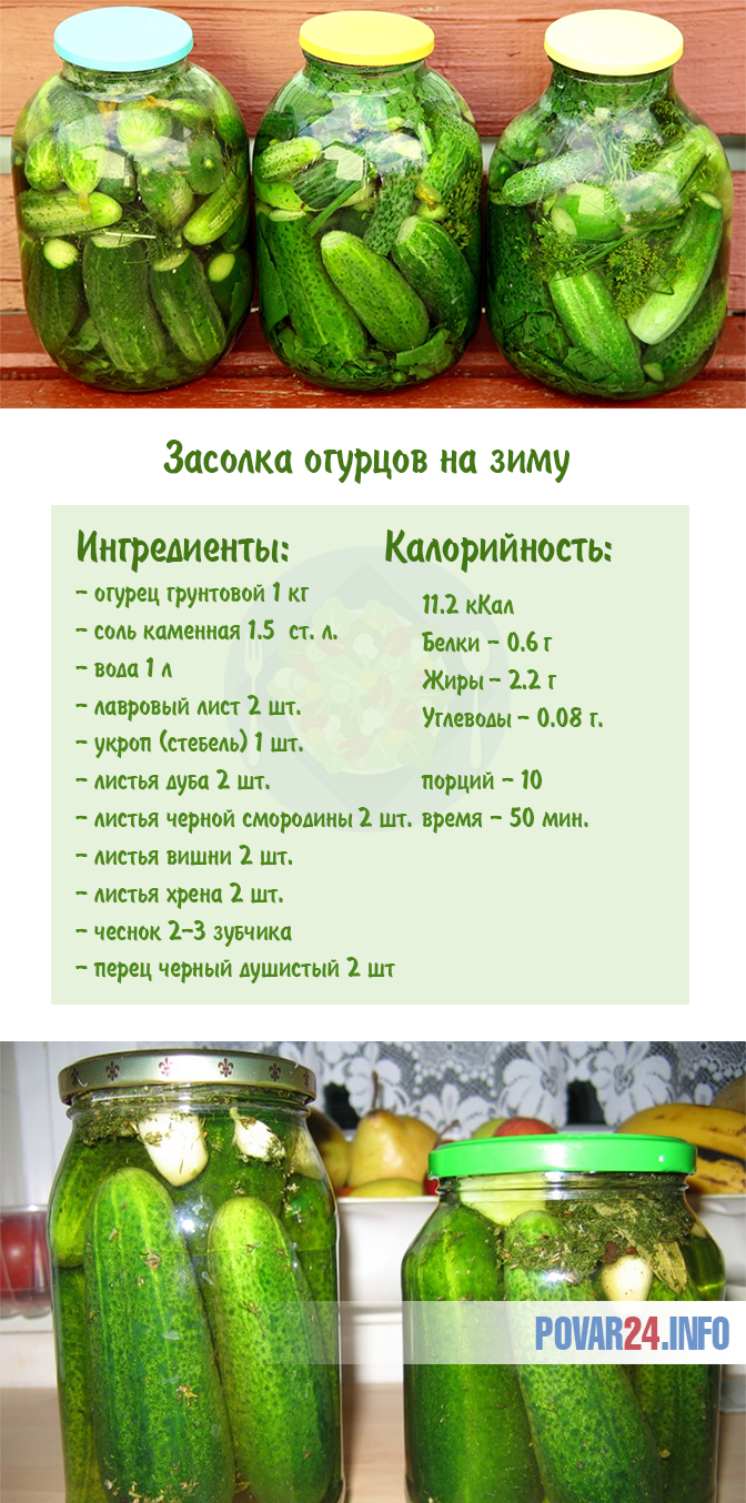 Хрустящие солёные огурцы на зиму в банках — 10 вкусных рецептов в домашних условиях