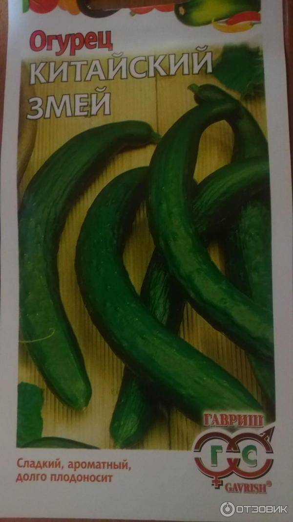 Огурцы китайский змей: описание сорта, фото змеевидных плодов, особенности агротехники