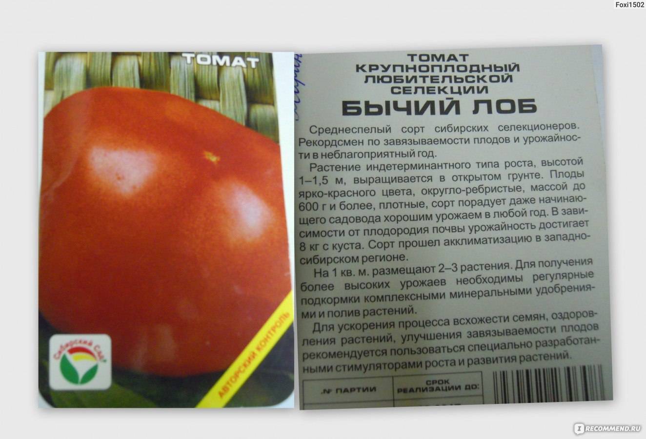 Томат апельсин: характеристика и описание сорта. томат апельсин: отзывы, фото, урожайность, секреты выращивания