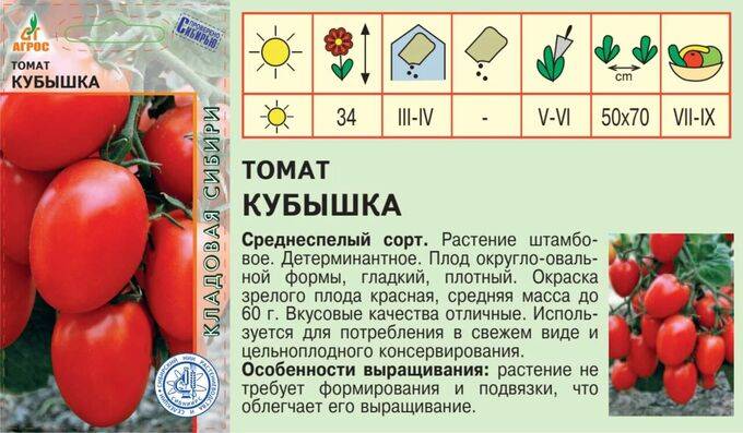 Томат ивана купала: характеристика и описание сорта, отзывы об урожайности помидоров, фото куста