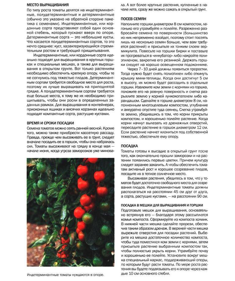 Завоевавший сердца огородников всего мира — томат крымский черный: характеристики и описание сорта