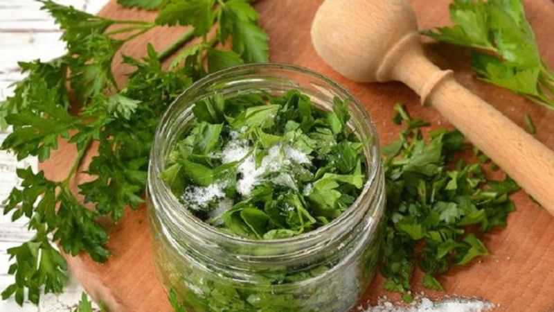 Зелень на зиму с солью и лучшие рецепты, как сушить свежую зелень