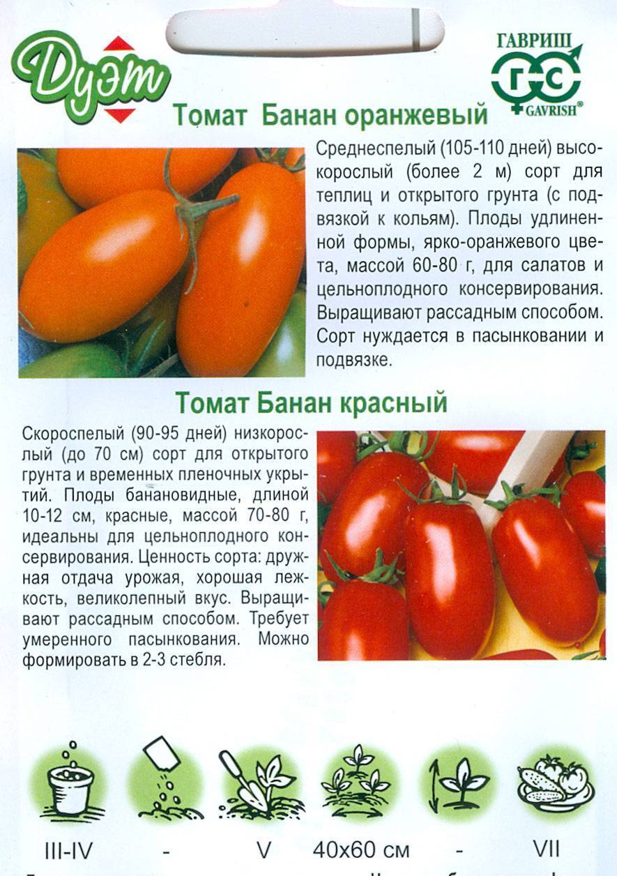 Томат банан красный: описание и характеристика сорта, фото, отзывы, урожайность