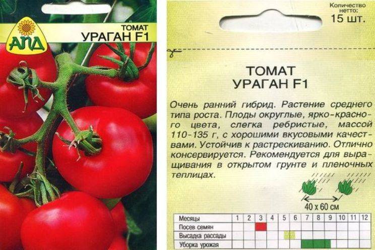 Как вырастить помидоры черри на балконе: лучшие сорта