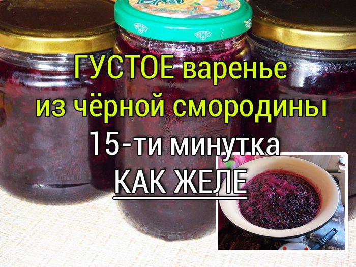 Варенье из черной смородины -15 рецептов на зиму