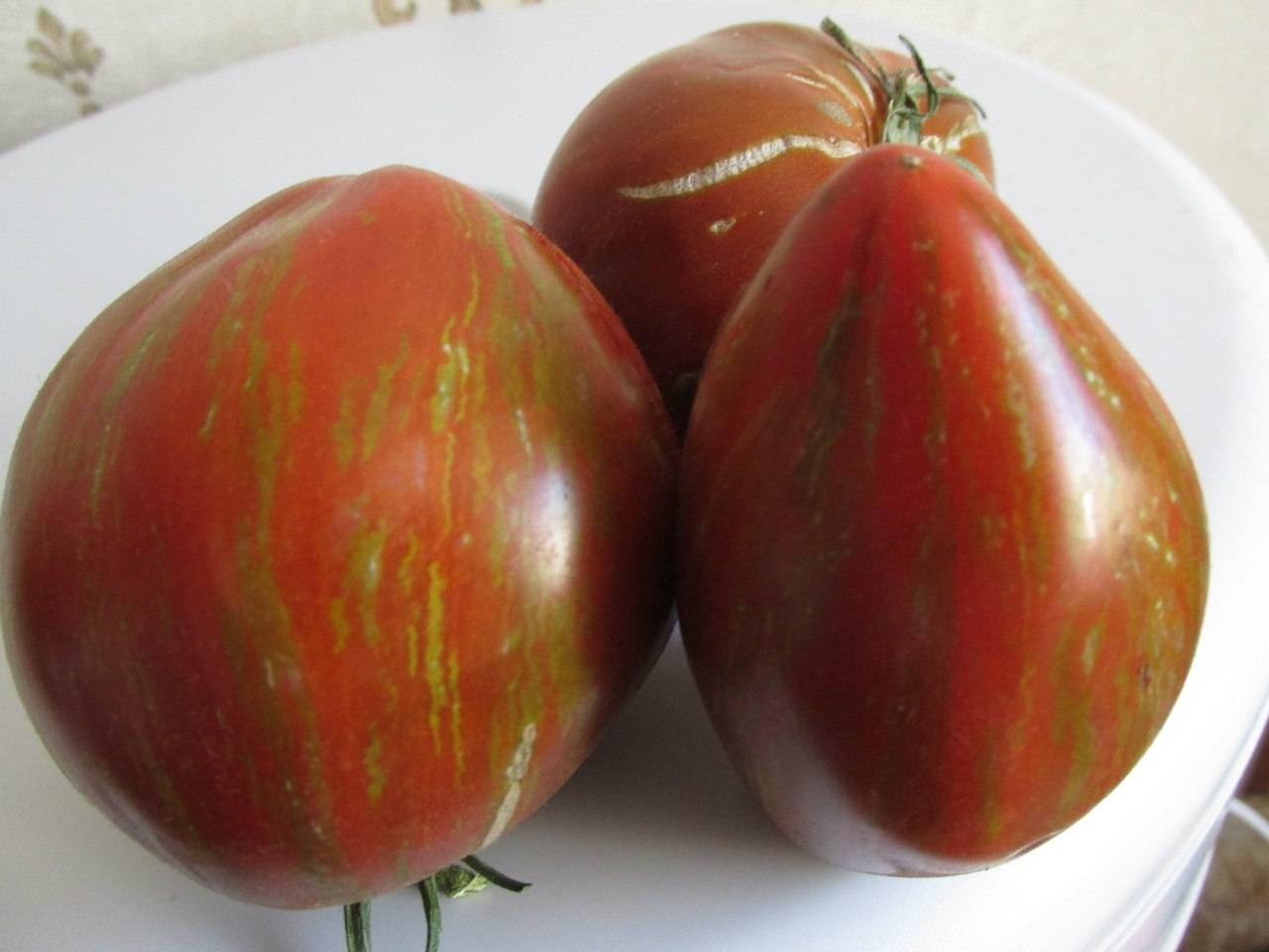Тайтл: томат сердце беркли в стиле тай-дай: описание сорта, характеристика, выращивание, отзывы, фото