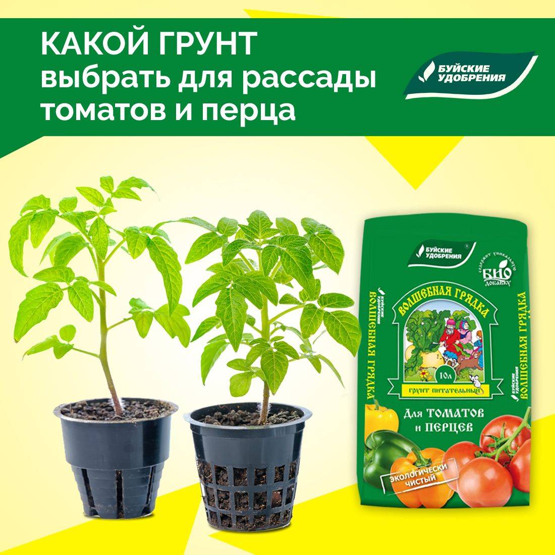Грунт для рассады томатов и перцев: состав, подготовка почвы в домашних условиях