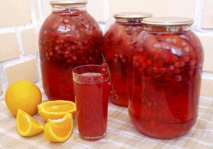 Красная смородина с апельсином на зиму: какие есть рецепты приготовления варенья и компотов, можно ли сделать пятиминутку без варки с протертым сахаром