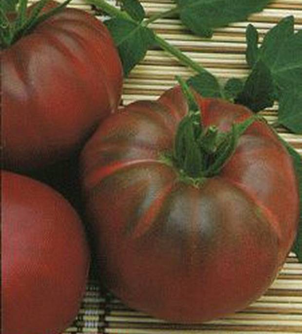 Крайне необычный и экзотичный гость на вашей грядке — томат «негритенок»: выращиваем сами и наслаждаемся урожаем