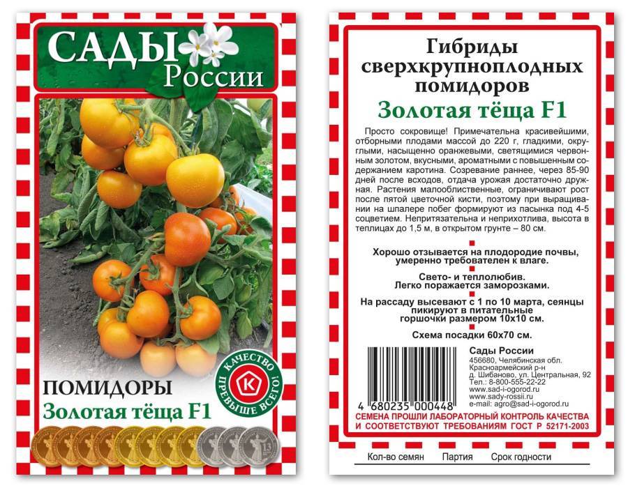 Томат золотая теща: отзывы (10), фото, урожайность, описание и характеристика | tomatland.ru