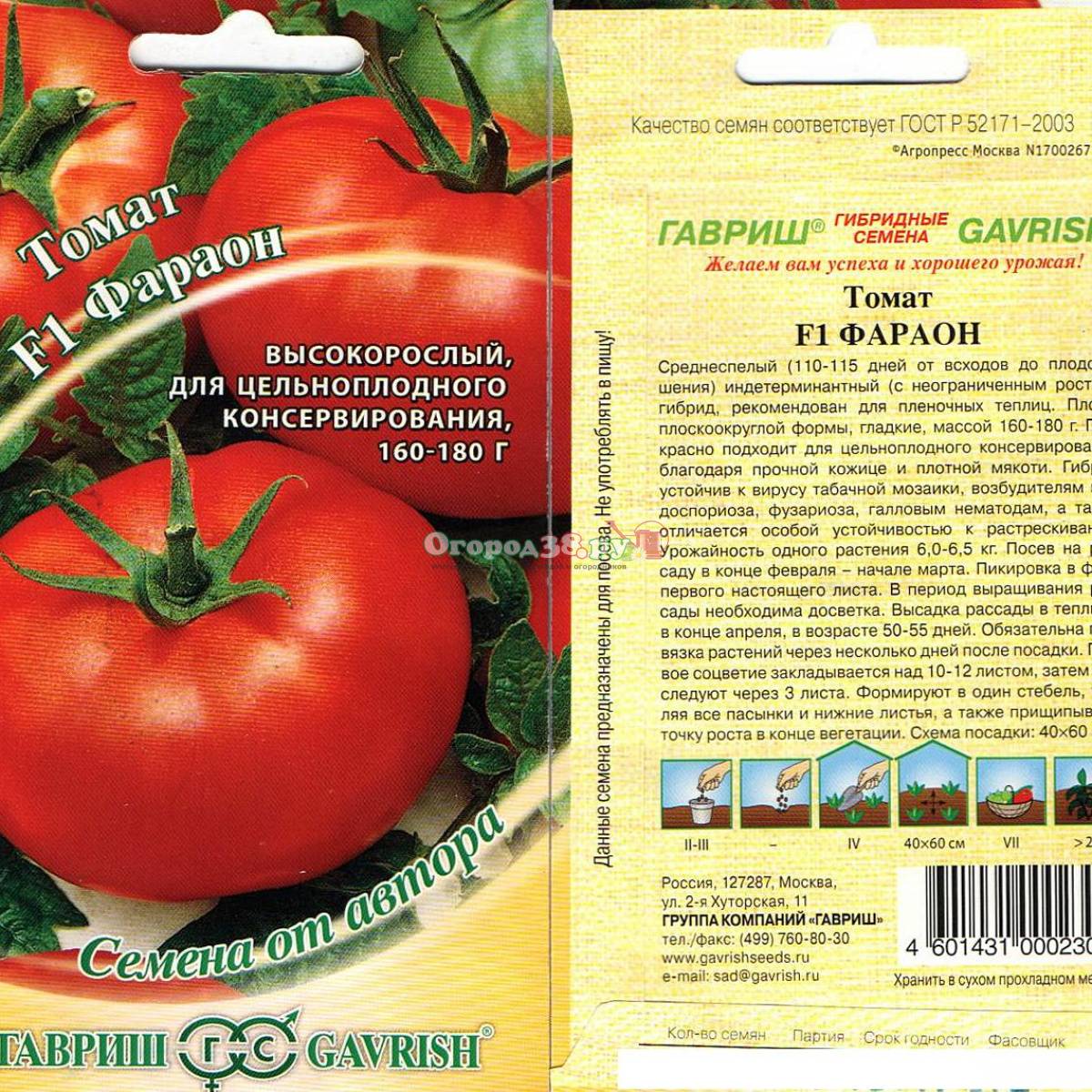 Лучшие сорта томатов для северо-запада