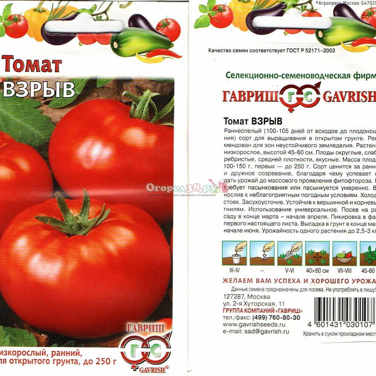 Описание сорта томата «взрыв», фото помидоров и отзывы садоводов-любителей