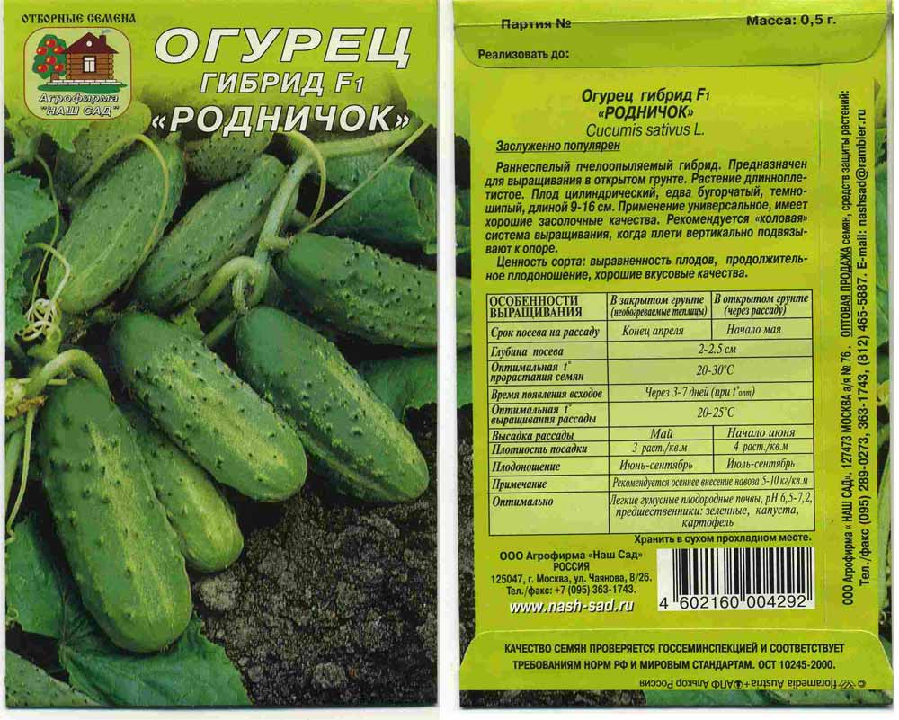 Огурец аякс f1 – отличный выбор для огородников юга россии