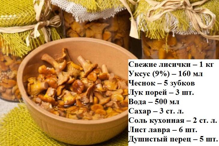 Маринованные грибы на зиму: рецепты