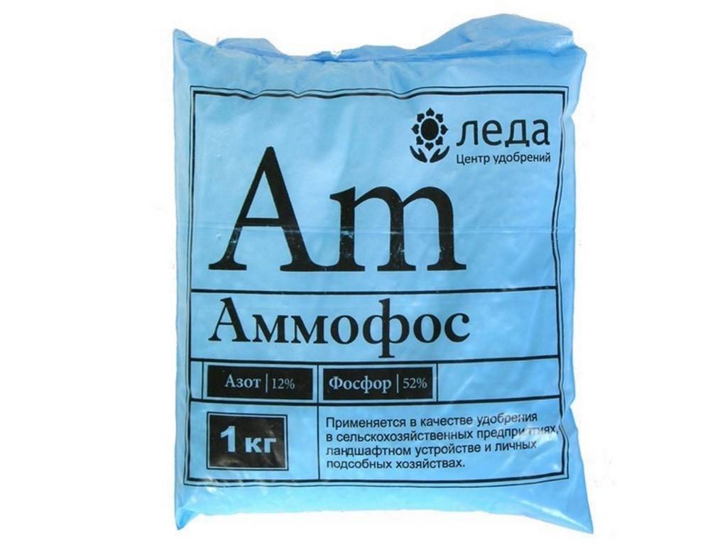 Аммофоска: состав удобрения, инструкция по применению