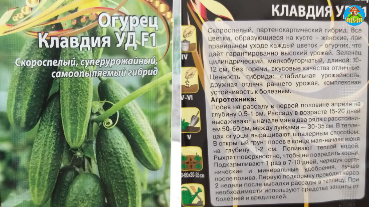 Характеристика и описание огурцов сорта Клавдия F1, урожайность и выращивание