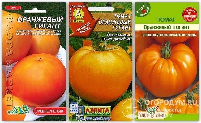 Сорт томата перцевидный оранжевый: описание и фото