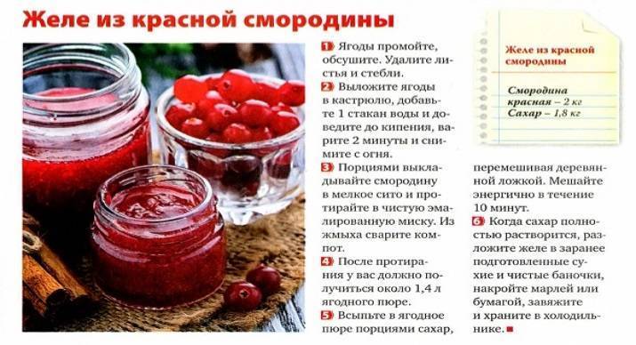 Компот из черной смородины на зиму: топ-8 рецептов, кулинарные советы