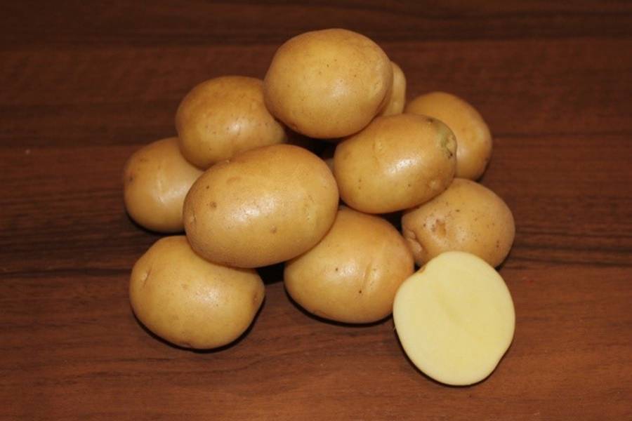 Картофель колобок: описание сорта, фото, отзывы