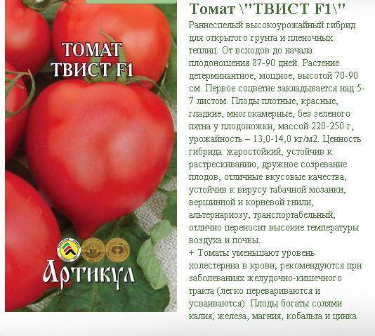 Сорт с хорошей продуктивностью — томат шеди леди f1: отзывы об урожайности, описание помидоров