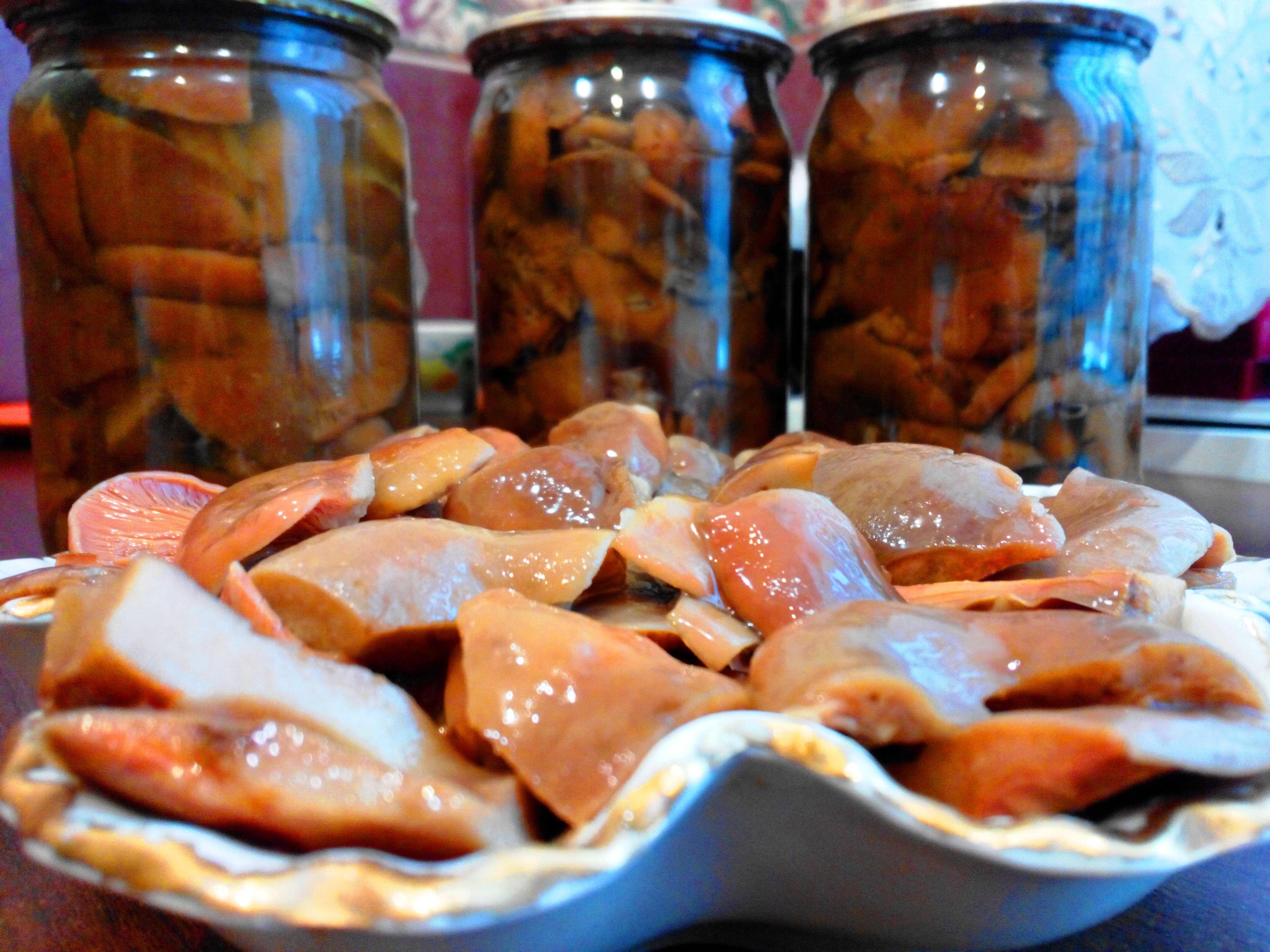 Как быстро и вкусно засолить рыжики в домашних условиях: рецепты засолки грибов