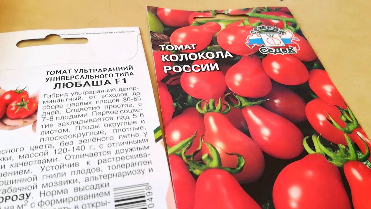 Томат русские колокола отзывы фото урожайность