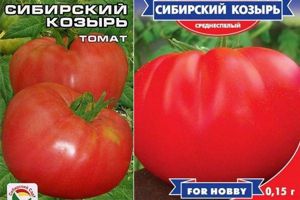 Томат сибирский козырь: характеристика и описание сорта, отзывы об урожайности помидоров, фото семян