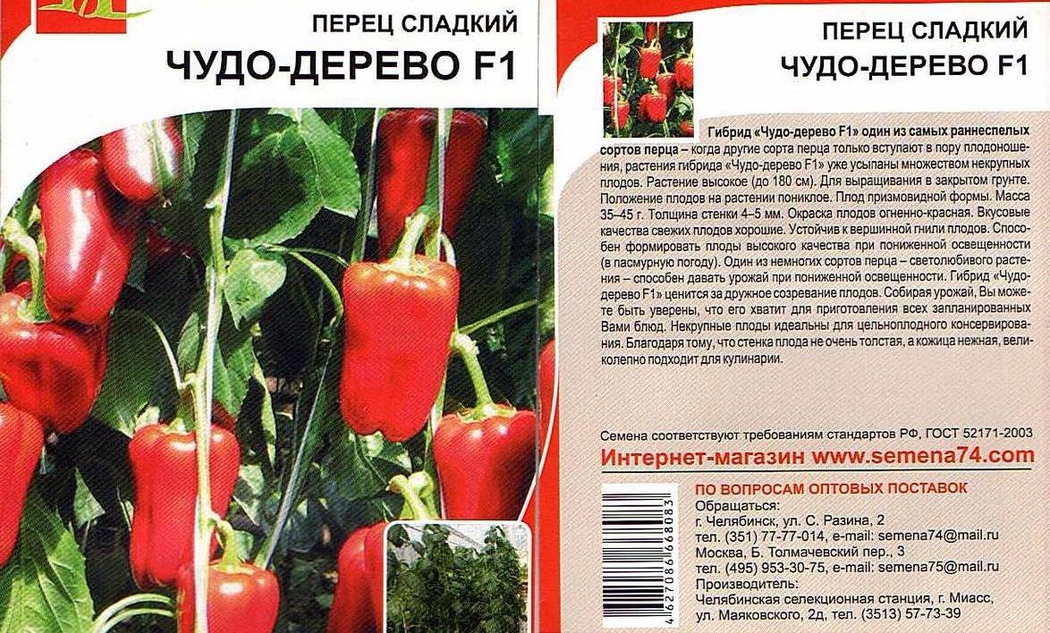Лучшие сорта болгарского перца разных видов с описанием и фото