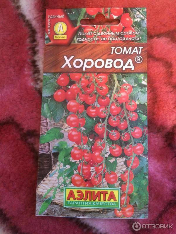 Томат рапунцель: отзывы (15), фото, урожайность, описание и характеристика | tomatland.ru