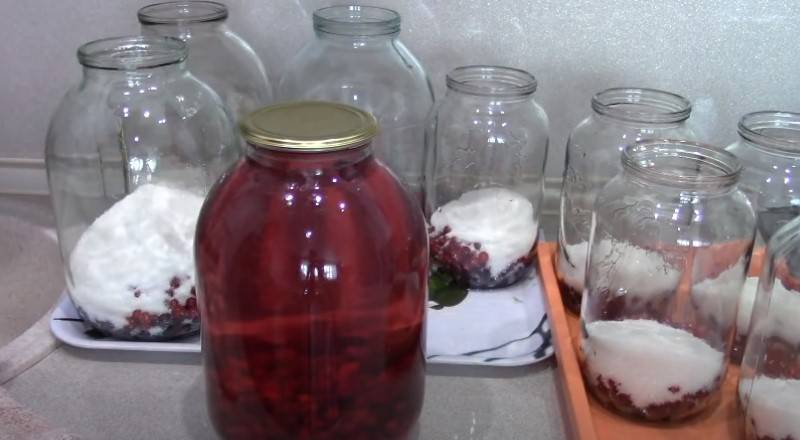 Компот из вишни на зиму — 8 простых рецептов без стерилизации