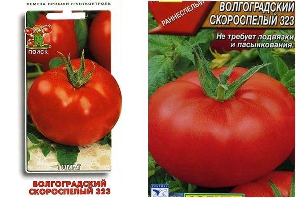 Обзор лучших сортов семян томатов для Ростовской области открытого грунта