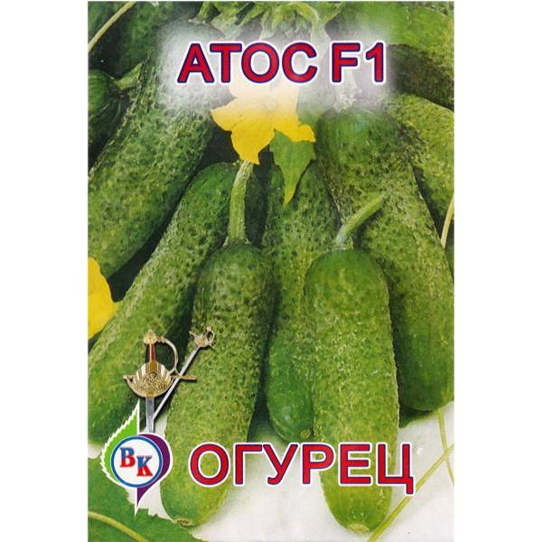 Огурцы атос f1: описание сорта и отзывы, фотографии, выращивание и урожайность
